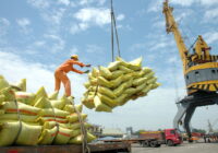 برای تنظیم بازار داخلی ۷۴هزار تن برنج وارد کشور شد