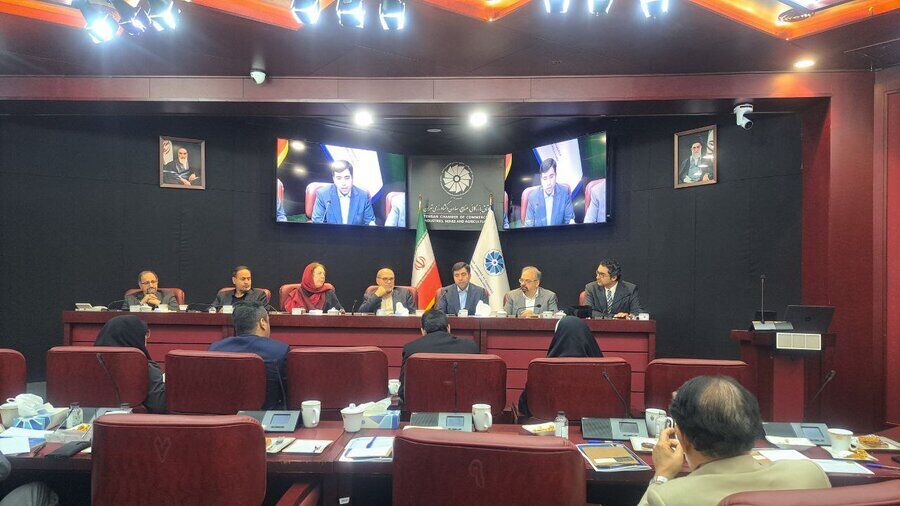 برنامه عرضه اوراق و صندوق‌های ارزی با جدیت دنبال می‌شوند