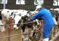 بیش از ۸ میلیون دز واکسن وارد کشور شده