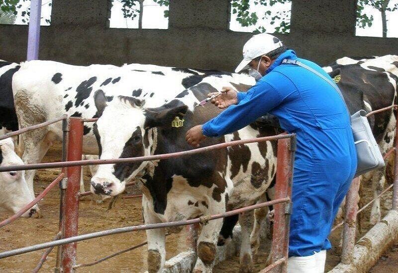 بیش از ۸ میلیون دز واکسن وارد کشور شده