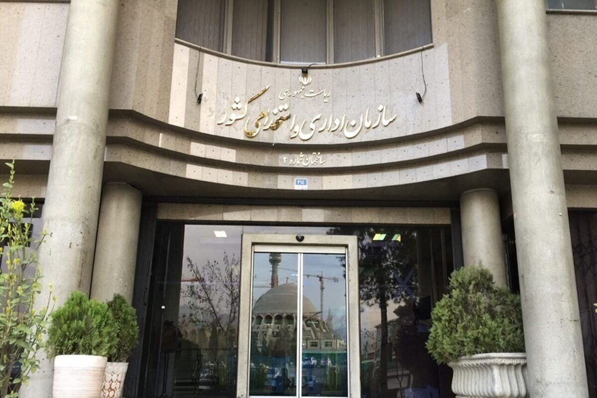 شورای عالی اداری متولی ساماندهی نهادهای شورایی