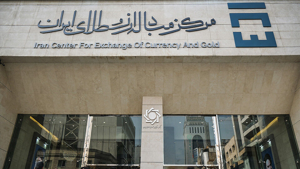 پوست اندازی در نظام ارزی