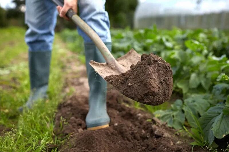 کاهش هزینه‌های تولید، افزایش بهره‌وری منابع پایه و ارتقای تاب‌آوری نظام غذایی