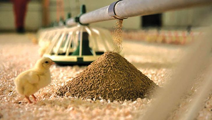 ذخایر فعلی نهاده‌های دامی بالاتر از نیاز ماهانه کشور است