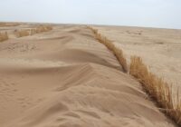 احداث بادشکن زنده ۸۰ کیلومتری در «جاسک» با دستور رئیس سازمان منابع طبیعی کشور