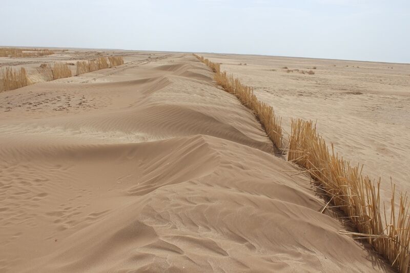 احداث بادشکن زنده ۸۰ کیلومتری در «جاسک» با دستور رئیس سازمان منابع طبیعی کشور