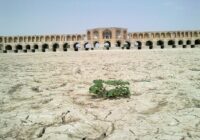 هشدار نماینده کشاورزان شرق اصفهان درباره پیامدهای ۲۵ سال خشکی زاینده‌رود