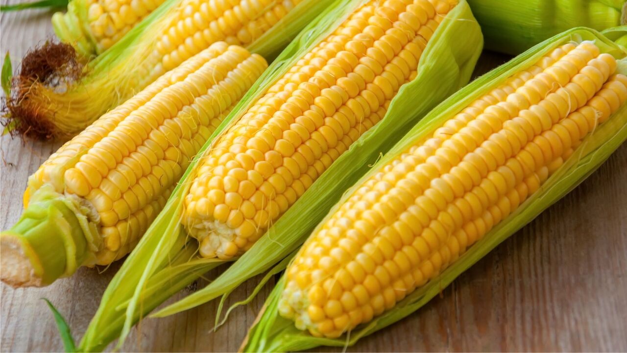 بررسی ژنتیک ذرت تحت تنش شوری و خشکی