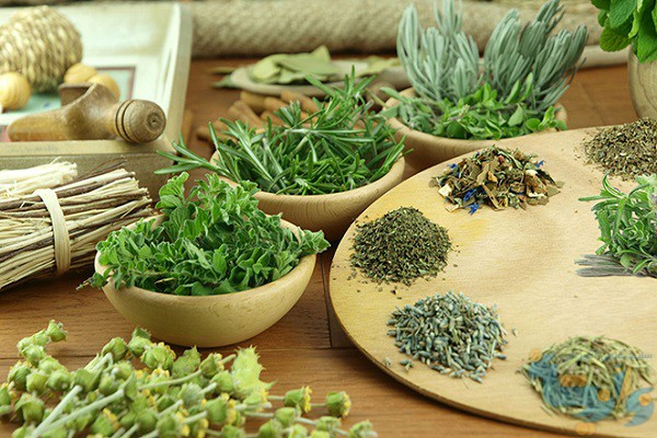 ۱۲ میلیون هکتار از اراضی کشور مستعد دیمکاری گیاهان دارویی است