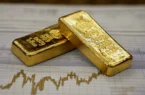 روایتی از یک شکاف تاریخی؛وقتی بازار سهام خواب ماند و طلا بیدار بود